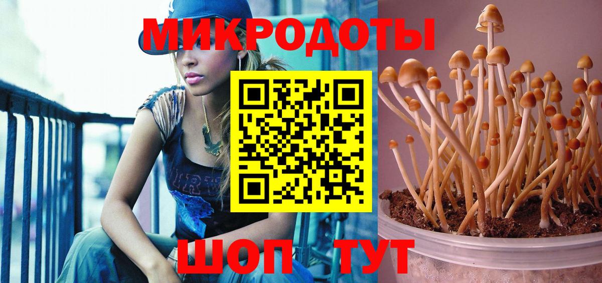 Галлюциногенные грибы ЛСД  Вход с VPN  Стрежевой 
