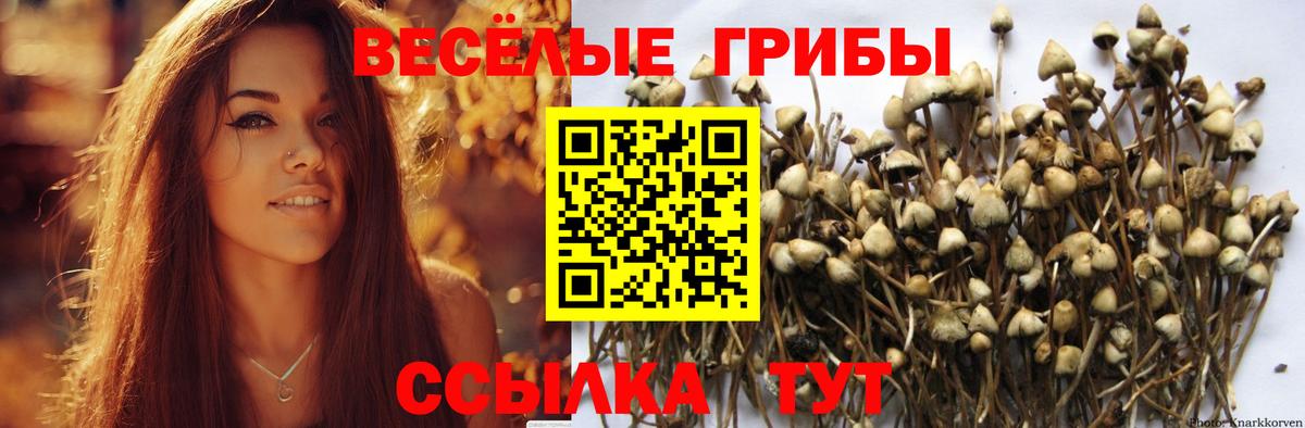 Галлюциногенные грибы Magic Shrooms Стрежевой